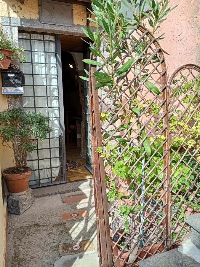 B&B Bellavista Bagnoregio Eksteriør bilde