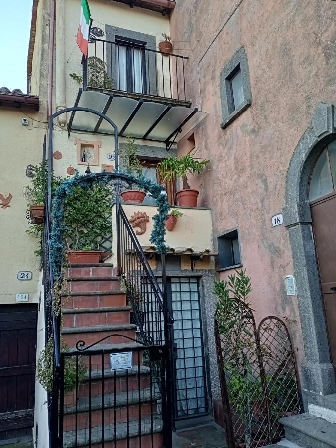 B&B Bellavista Bagnoregio Eksteriør bilde