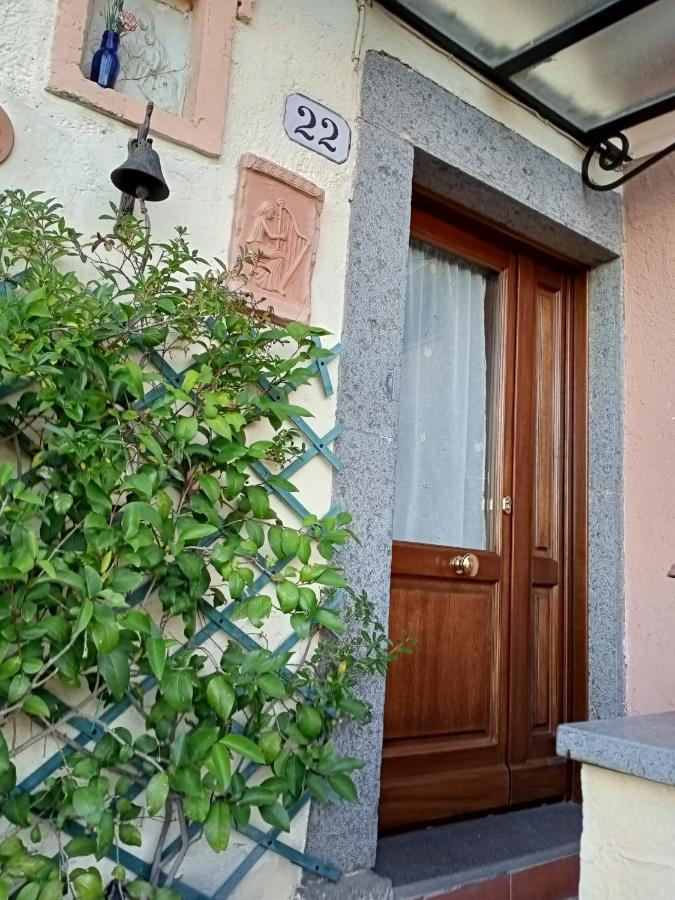 B&B Bellavista Bagnoregio Eksteriør bilde