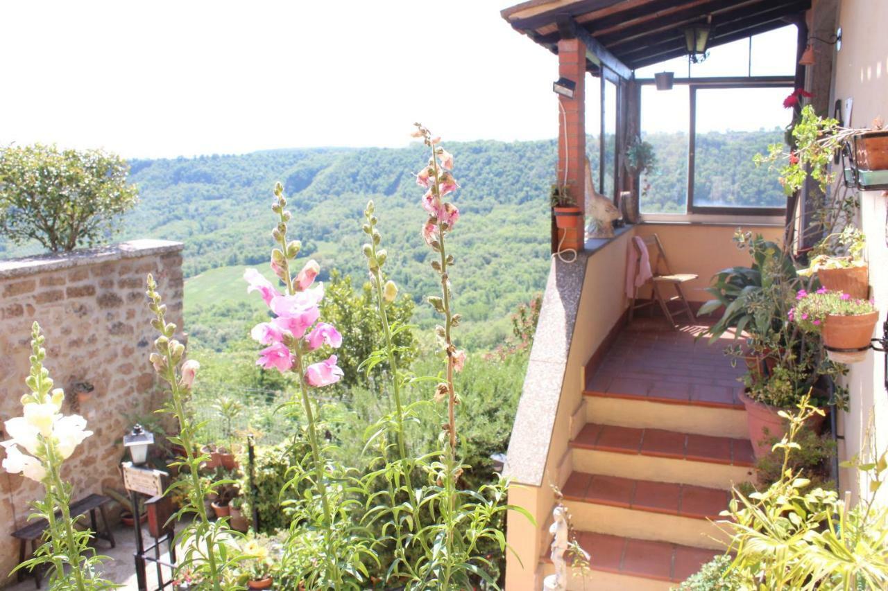 B&B Bellavista Bagnoregio Eksteriør bilde